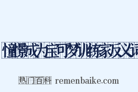 憧憬成为宝可梦训练家反义词是什么意思的图片